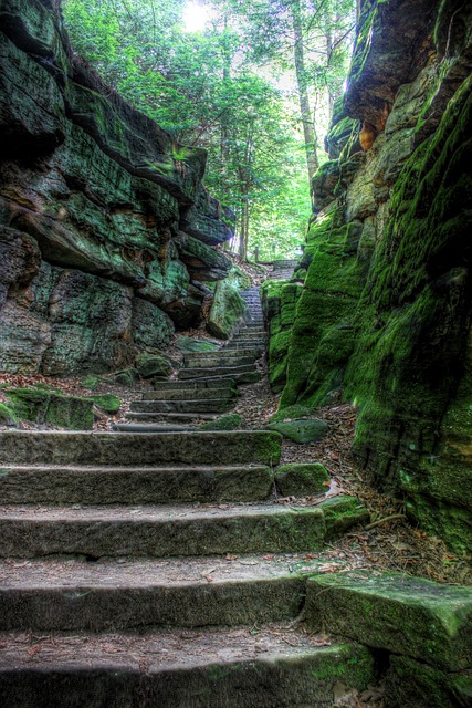 Thought Leader Spotlight: Small Steps, Lasting Change