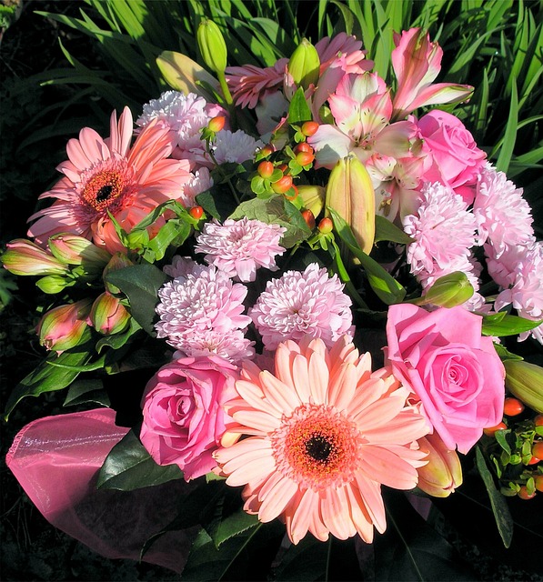 Brilliant Communication in Bloom