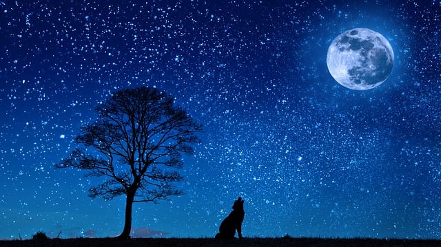 Wolf howling beneath a bright full moon, with silhouetted trees against a starry night sky.